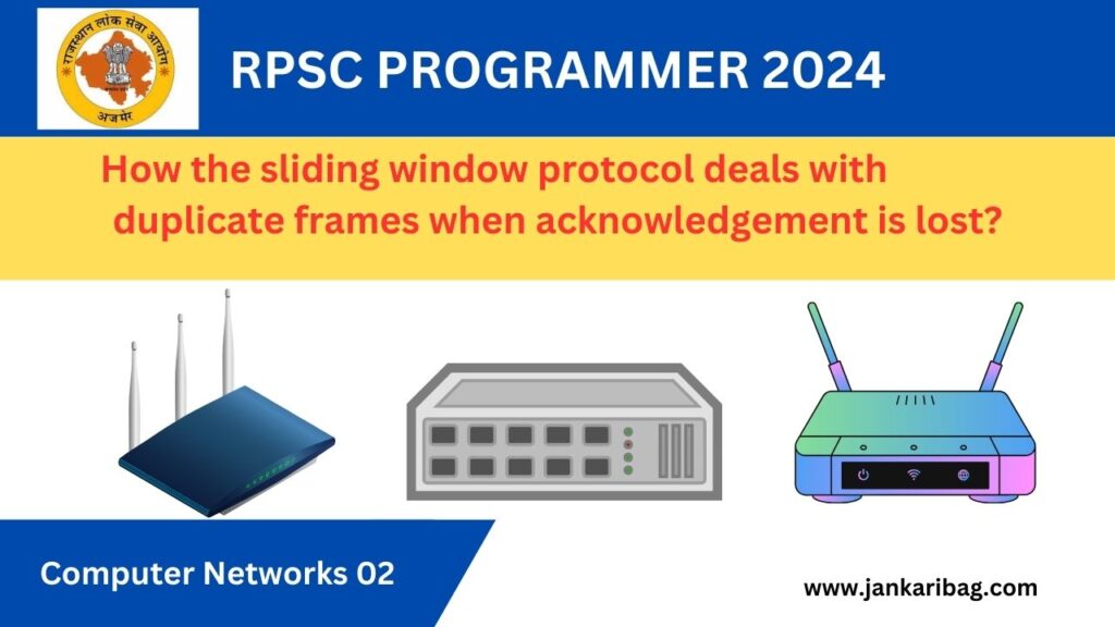 RPSC PROGRAMMER 2024