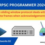RPSC PROGRAMMER 2024