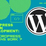WordPress Plugin Development